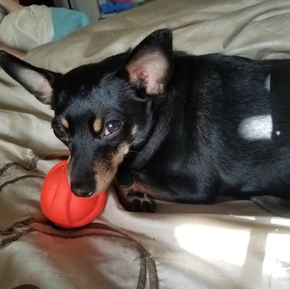 Meet your Posher, Carolynne - Picture 13 of 16